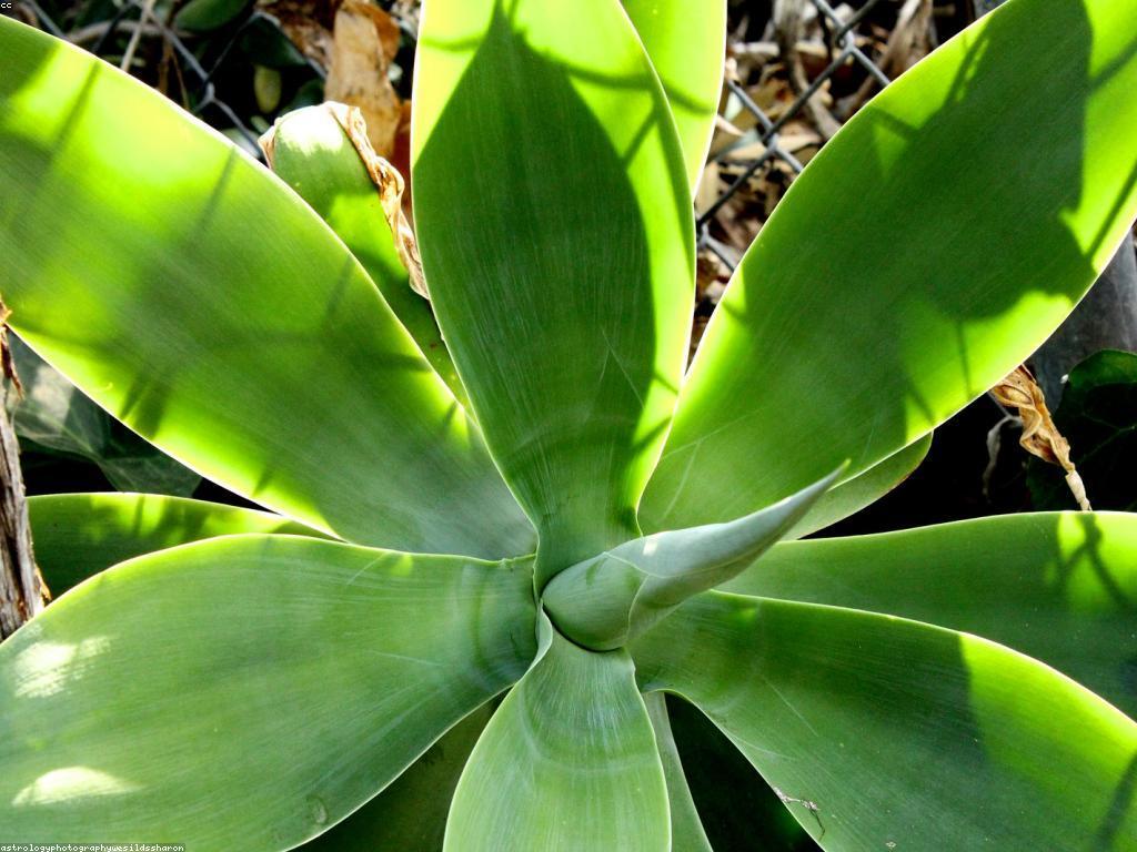 គន្លឹះសម្រាប់អ្នកដំណើរថ្មី